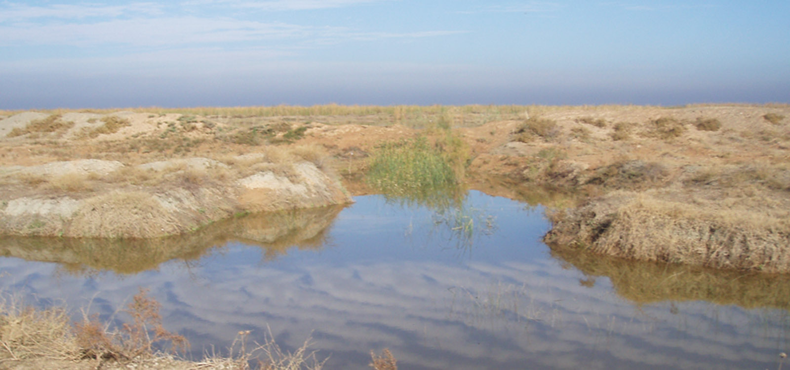 Studies for Bed and fringe delineation for Bamdej wetland in Khoozestan